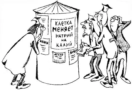Зачем клетка обменивает натрий на калий Это требование выполнялось если - фото 36