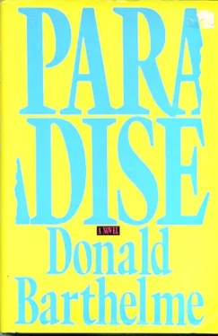 Donald Barthelme Paradise обложка книги