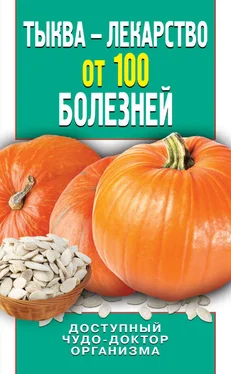 Ирина Зайцева Тыква – лекарство от 100 болезней. Доступный чудо-доктор организма обложка книги