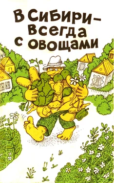 Изабелла Овсянникова В Сибири - всегда с овощами обложка книги