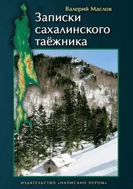 Валерий Маслов Записки сахалинского таёжника обложка книги