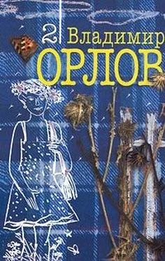 Владимир Орлов Происшествие в Никольском обложка книги