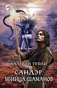 Валерий Теоли Сандэр. Убийца шаманов обложка книги