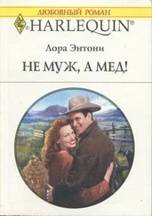 Лора Энтони - Не муж, а мед!
