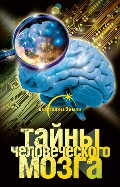 Александр Попов Тайны человеческого мозга обложка книги