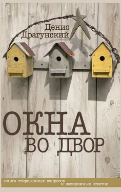 Денис Драгунский Окна во двор (сборник) обложка книги