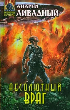 Андрей Ливадный Абсолютный враг обложка книги