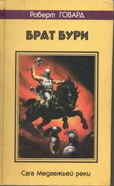 Роберт Говард БРАТ БУРИ. Сага Медвежьей реки обложка книги