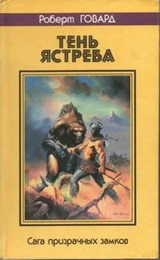 Роберт Говард ТЕНЬ ЯСТРЕБА. Сага призрачных замков обложка книги