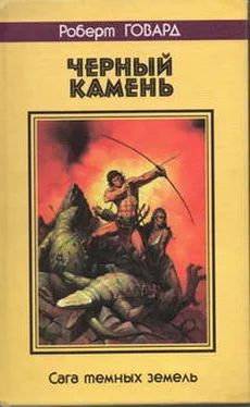 Роберт Говард Черный камень. Сага темных земель обложка книги