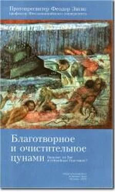 Феодор Зисис Благотворное и очистительное цунами: Виноват ли Бог в стихийных бедствиях? обложка книги