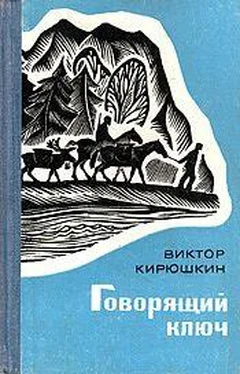 Виктор Кирюшкин Говорящий ключ обложка книги