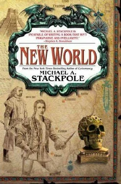 Michael Stackpole The New World обложка книги