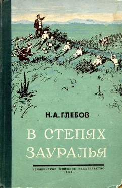 Николай Глебов В степях Зауралья. Книга вторая обложка книги