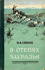 Николай Глебов - В степях Зауралья. Книга вторая