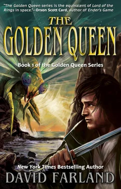 David Farland The Golden Queen обложка книги