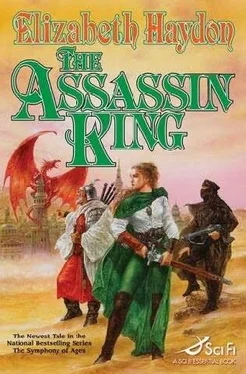 Elizabeth Haydon The Assassin King обложка книги