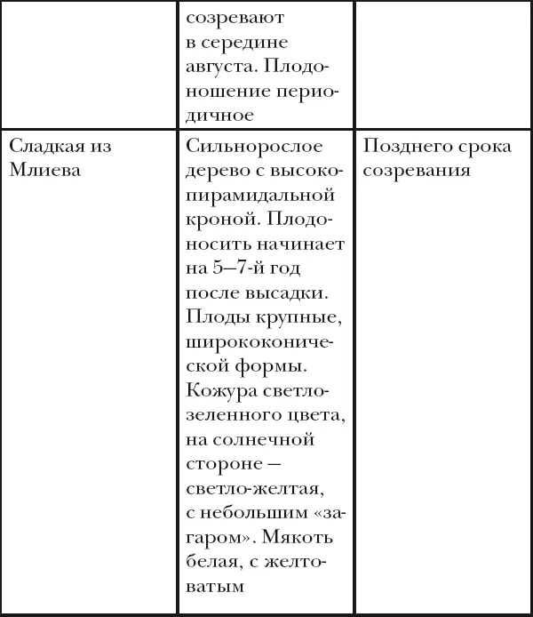 Вишня слива абрикос - фото 35