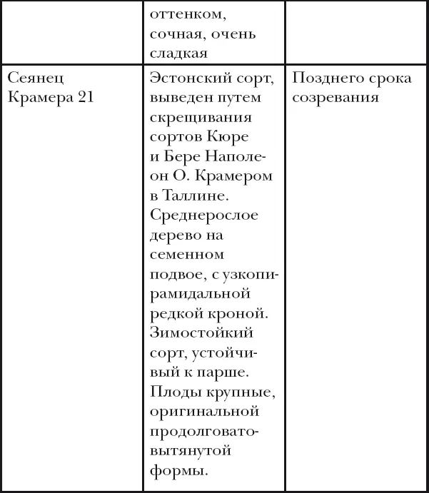 Вишня слива абрикос - фото 36