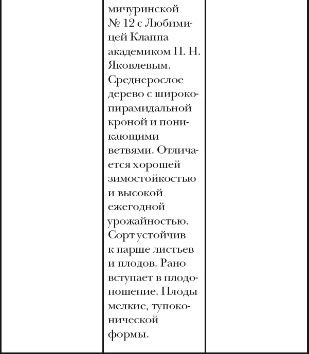 Вишня слива абрикос - фото 38