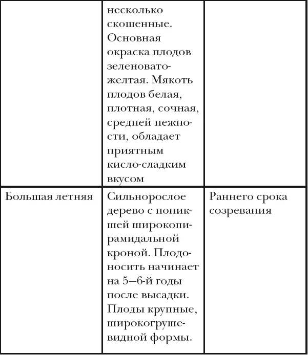 Абрикос Абрикос обыкновенный по лат A vulgaris Lam Родиной этого вида - фото 46
