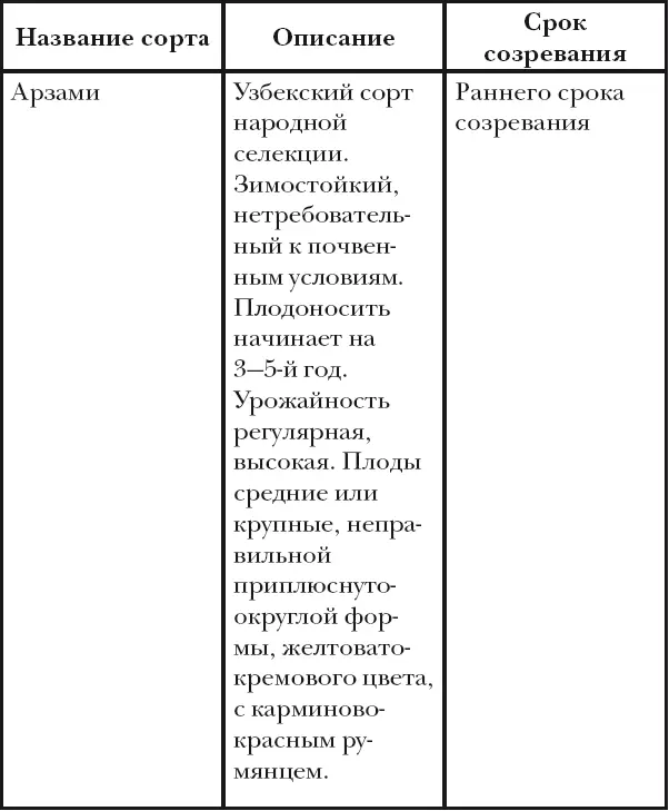 Вишня слива абрикос - фото 48