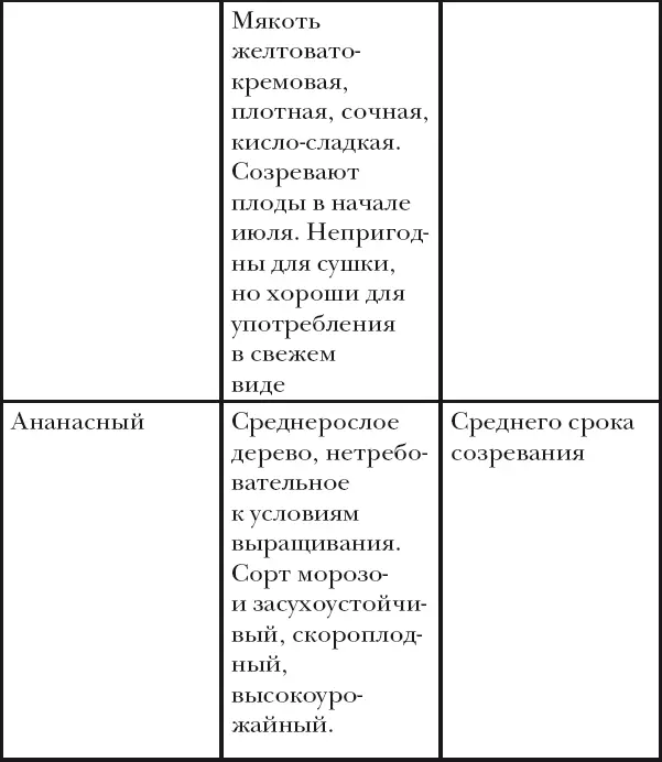 Вишня слива абрикос - фото 49
