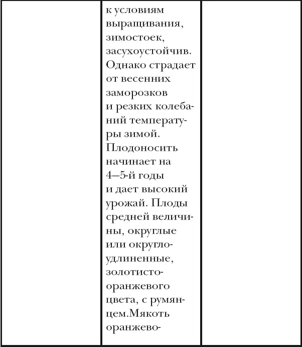 Вишня слива абрикос - фото 51