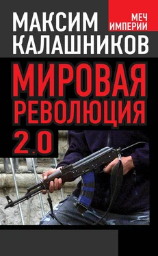 Максим Калашников Мировая революция-2.0 обложка книги