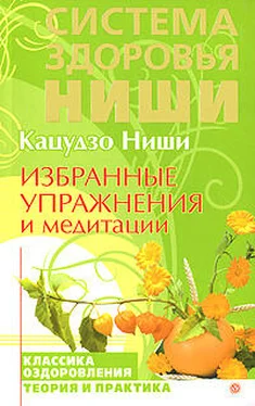 Кацудзо Ниши Избранные упражнения и медитации обложка книги