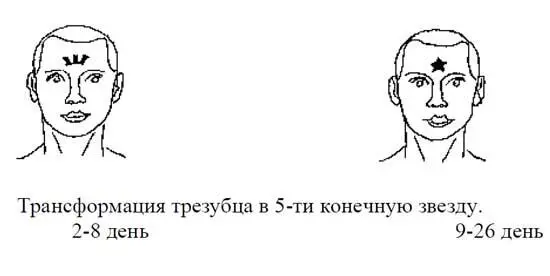 Данная закономерность наблюдается у 8085 населения 1520 имеют те же - фото 20
