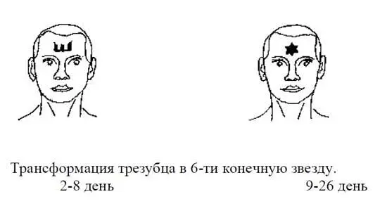 Данная закономерность наблюдается у 8085 населения 1520 имеют те же - фото 21