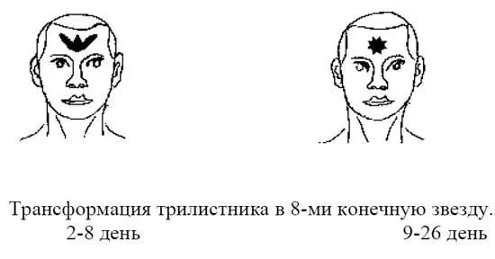 Данная закономерность наблюдается у 8085 населения 1520 имеют те же - фото 22