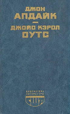 Джойс Оутс Сад радостей земных обложка книги