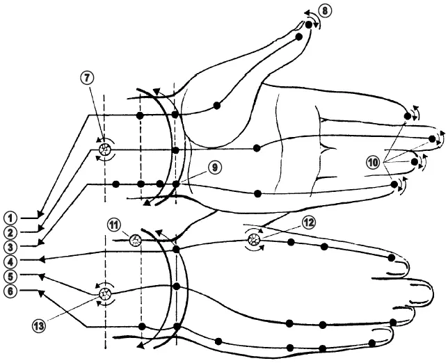 Рис 1 Топография меридианов и активных точек на руке 1 таиин иньский - фото 2