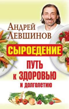 Андрей Левшинов Сыроедение – путь к здоровью и долголетию обложка книги