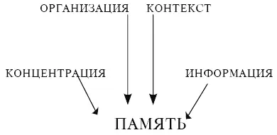 Улучшение внутренней памяти Запоминание это активный процесс Максимальное - фото 4