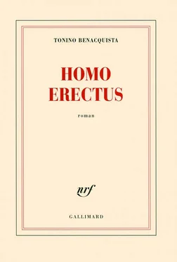 Tonino Benacquista Homo erectus обложка книги