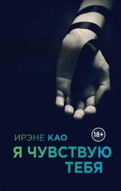 Ирэне Као Я чувствую тебя обложка книги