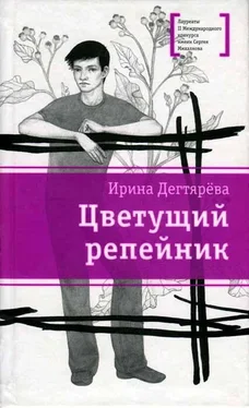 Ирина Дегтярева Цветущий репейник обложка книги