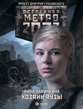 Анна Калинкина Метро 2033. Хозяин Яузы обложка книги