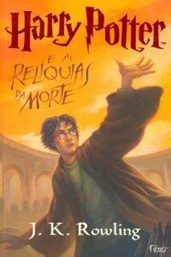 J. Rowling Harry Potter e as Relíquias da Morte обложка книги