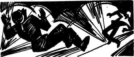 Ноябрьские ветры продували лес Водили хороводы желтые листья Земля - фото 19