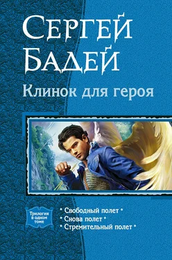 Сергей Бадей Свободный полет. Снова полет. Стремительный полет обложка книги