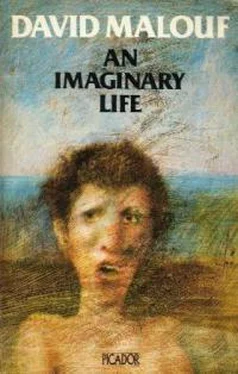 David Malouf An Imaginary Life обложка книги