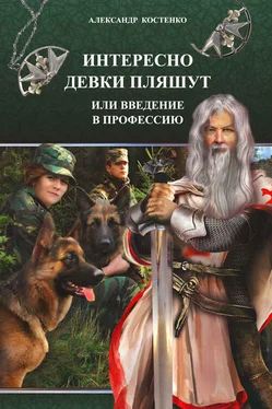 Александр Костенко Интересно девки пляшут, или Введение в профессию обложка книги