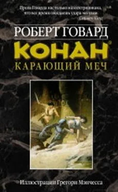 Роберт Говард КОНАН. КАРАЮЩИЙ МЕЧ обложка книги