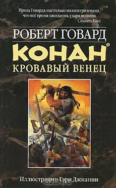 Роберт Говард КОНАН. КРОВАВЫЙ ВЕНЕЦ обложка книги