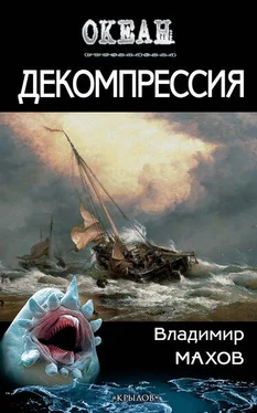 Владимир Махов Декомпрессия обложка книги