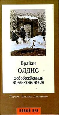 Брайан Олдисс Освобожденный Франкенштейн обложка книги